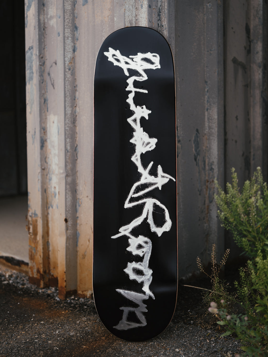 LOGO DECK - 8.25