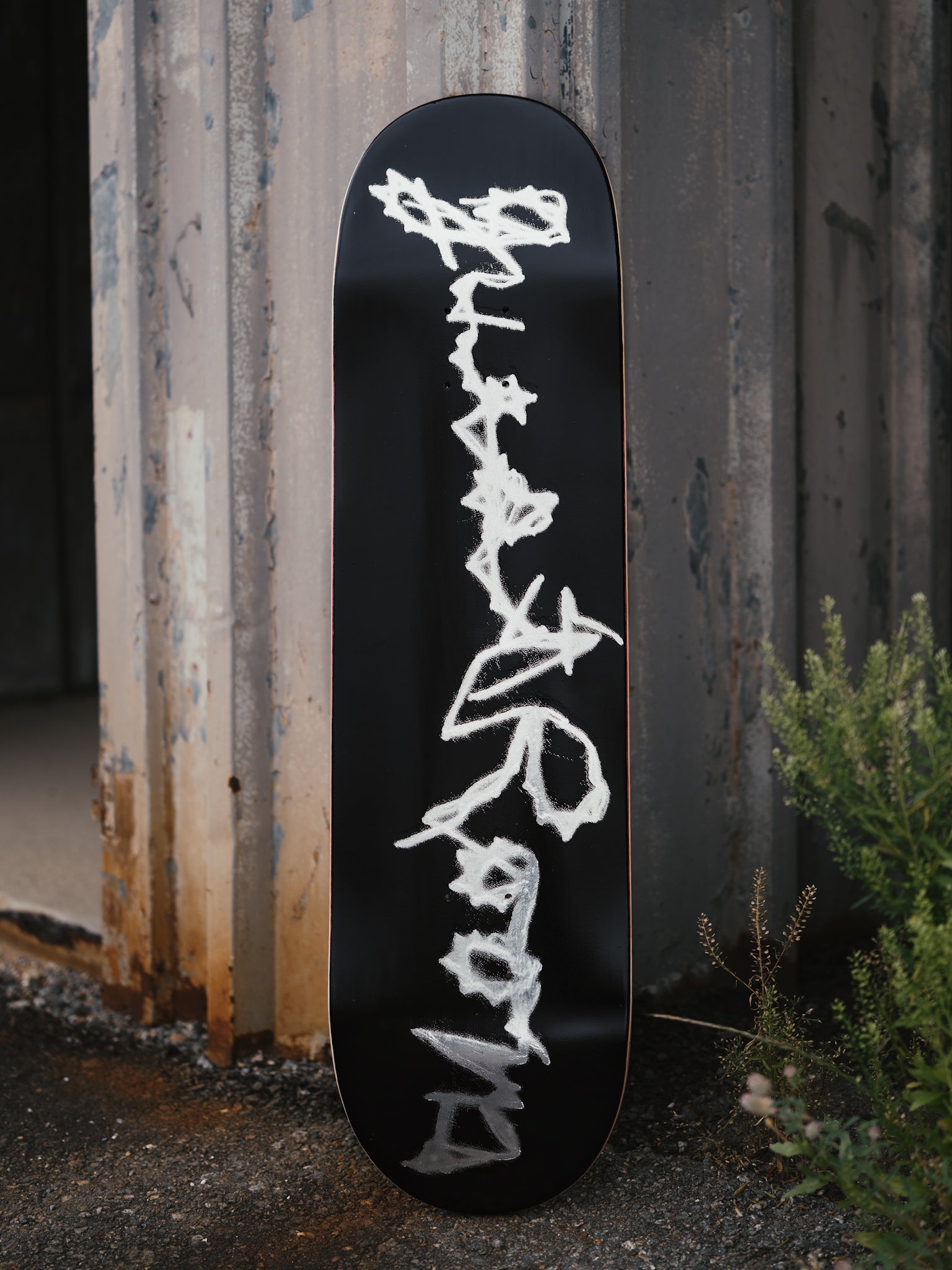 LOGO DECK - 8.25